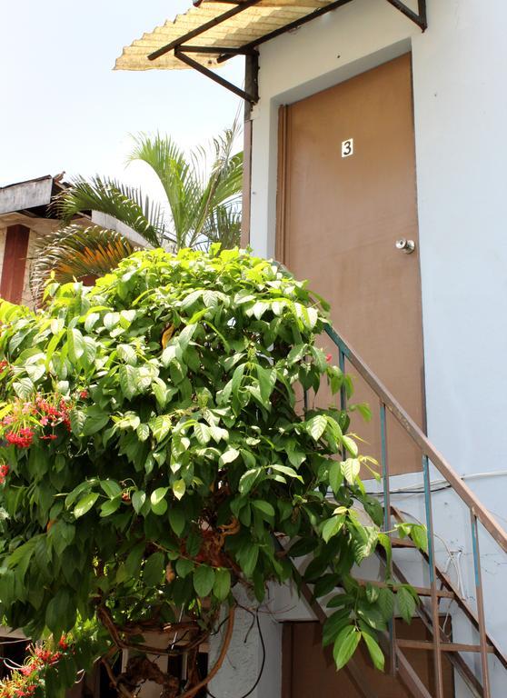 Ximenas Guest House San Salvador Exteriér fotografie